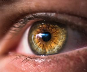 Hazel eye color