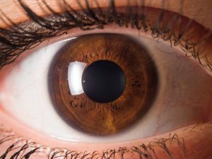 Medium Brown eye color