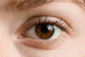 Dark Brown eye color