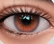 Medium Brown eye color