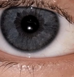 4b: Dark-gray Iris