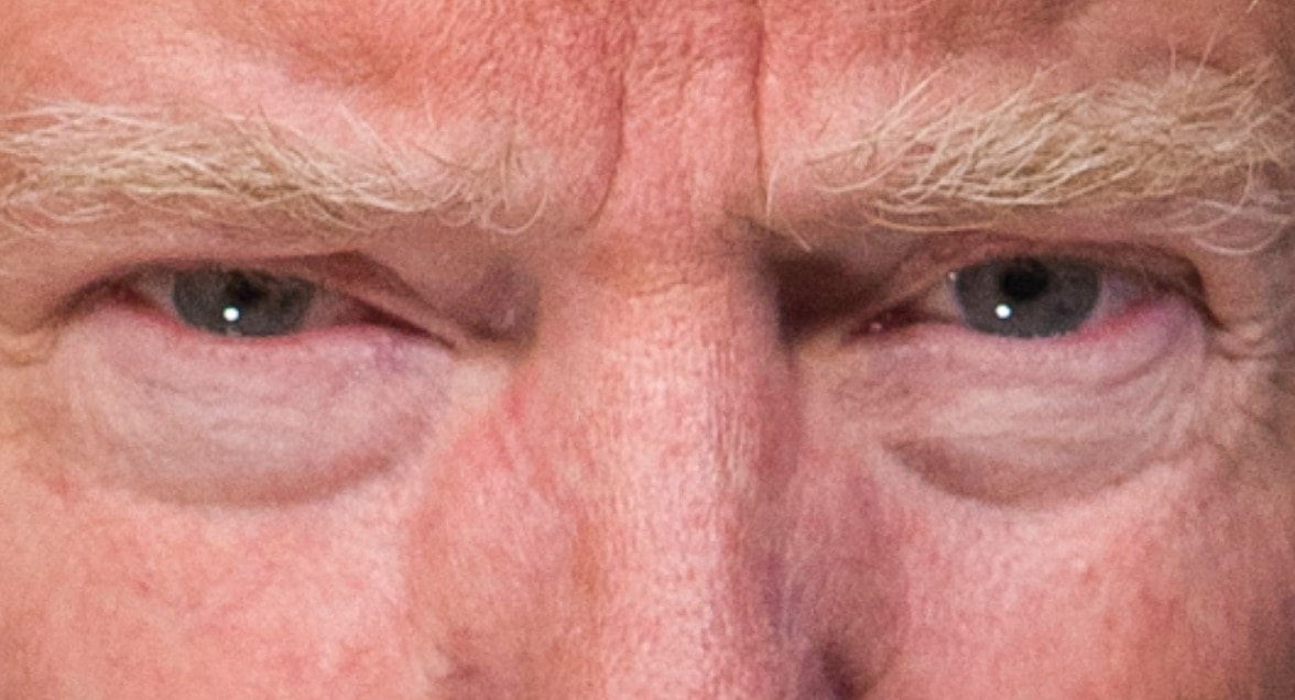 Donald Trump eyes color close up