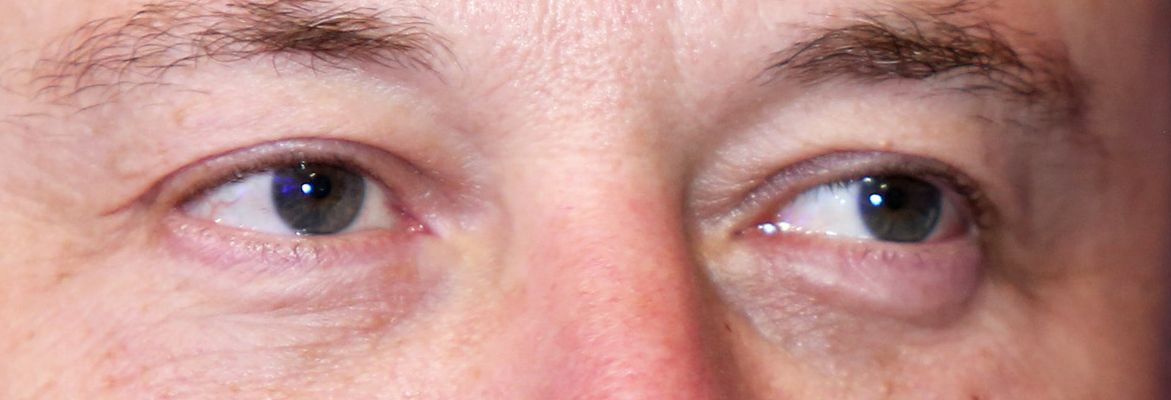 Elon Musk eyes color big