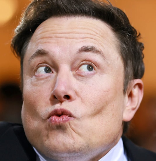 Elon Musk eyes color