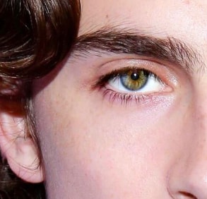 Timothee Chalamet eyes color on light