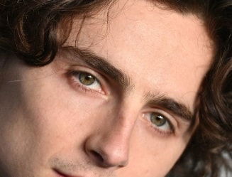 Timothee Chalamet eyes color 2