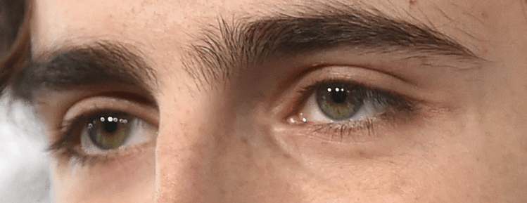 Timothee Chalamet eyes color from close