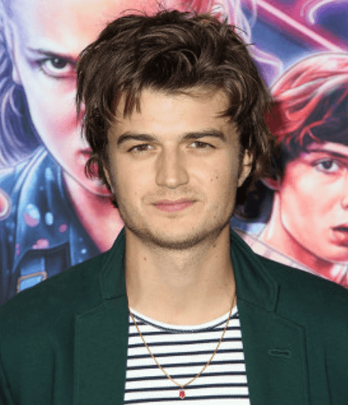 Joe Keery eyes color